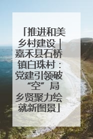 推进和美乡村建设｜嘉禾县石桥镇白珠村：党建引领破“空”局 乡贤聚力绘就新图景