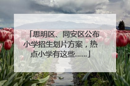 思明区、同安区公布小学招生划片方案，热点小学有这些……