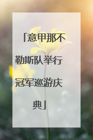 意甲那不勒斯队举行冠军巡游庆典