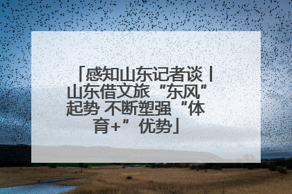 感知山东记者谈丨山东借文旅“东风”起势 不断塑强“体育+”优势