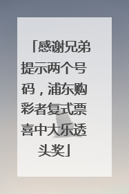 感谢兄弟提示两个号码，浦东购彩者复式票喜中大乐透头奖