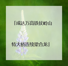 成达万高铁仗岭山特大桥连续梁合龙