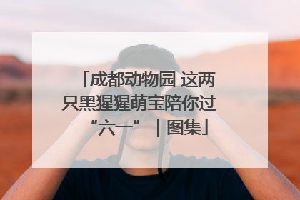 成都动物园 这两只黑猩猩萌宝陪你过“六一”｜图集