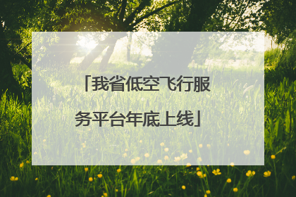 我省低空飞行服务平台年底上线