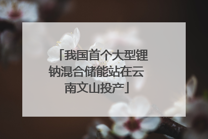 我国首个大型锂钠混合储能站在云南文山投产