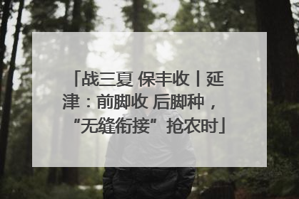 战三夏 保丰收丨延津：前脚收 后脚种，“无缝衔接”抢农时