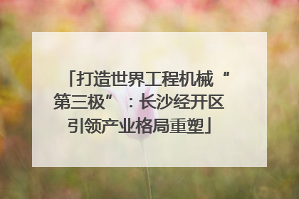 打造世界工程机械“第三极”：长沙经开区引领产业格局重塑