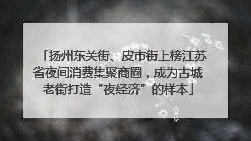 扬州东关街、皮市街上榜江苏省夜间消费集聚商圈，成为古城老街打造“夜经济”的样本