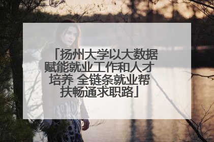 扬州大学以大数据赋能就业工作和人才培养 全链条就业帮扶畅通求职路