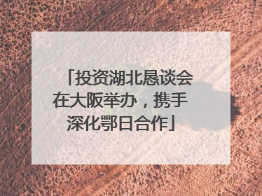 投资湖北恳谈会在大阪举办，携手深化鄂日合作