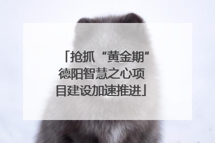 抢抓“黄金期” 德阳智慧之心项目建设加速推进