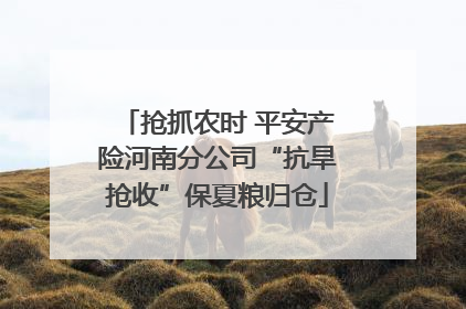 抢抓农时 平安产险河南分公司“抗旱抢收”保夏粮归仓