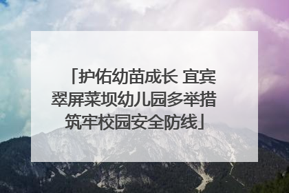 护佑幼苗成长 宜宾翠屏菜坝幼儿园多举措筑牢校园安全防线