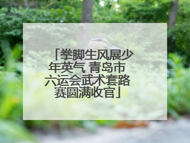 拳脚生风展少年英气 青岛市六运会武术套路赛圆满收官