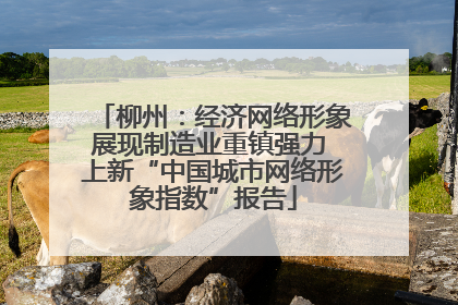 柳州：经济网络形象展现制造业重镇强力 上新“中国城市网络形象指数”报告