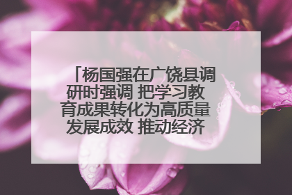 杨国强在广饶县调研时强调 把学习教育成果转化为高质量发展成效 推动经济稳健向好进中提质
