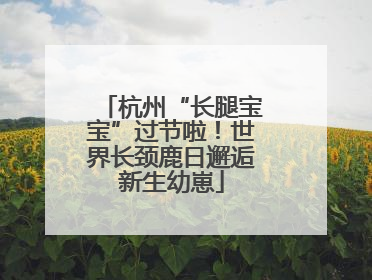 杭州“长腿宝宝”过节啦！世界长颈鹿日邂逅新生幼崽