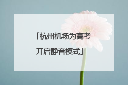 杭州机场为高考开启静音模式