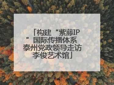 构建“紫藤IP”国际传播体系 泰州党政领导走访李俊艺术馆