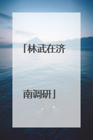 林武在济南调研