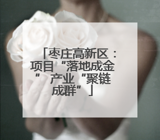 枣庄高新区：项目“落地成金” 产业“聚链成群”
