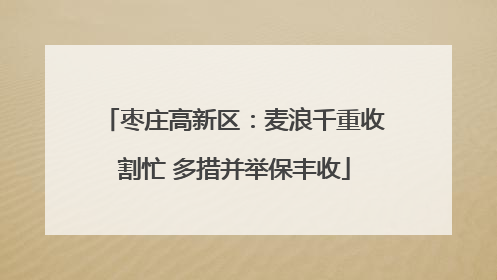 枣庄高新区：麦浪千重收割忙 多措并举保丰收