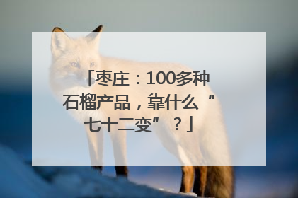 枣庄：100多种石榴产品，靠什么“七十二变”？