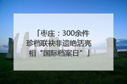 枣庄：300余件珍档联袂非遗绝活亮相“国际档案日”