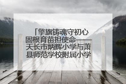 擎旗铸魂守初心 固根育苗担使命——天长市炳辉小学与萧县师范学校附属小学结对共建活动纪实