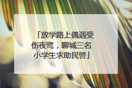 放学路上偶遇受伤夜鹭，聊城三名小学生求助民警