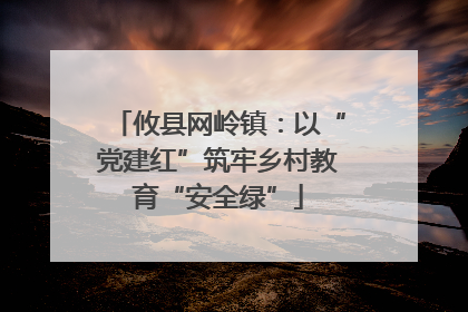 攸县网岭镇：以“党建红”筑牢乡村教育“安全绿”