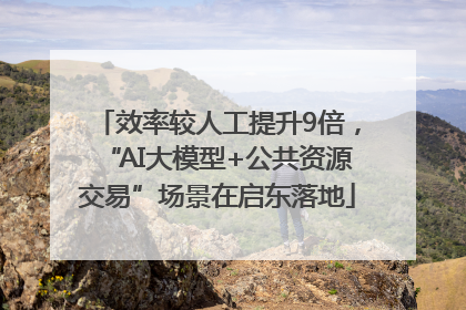效率较人工提升9倍，“AI大模型+公共资源交易”场景在启东落地