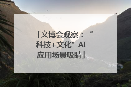 文博会观察：“科技+文化”AI应用场景吸睛