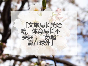 文旅局长笑哈哈、体育局长不委屈，“苏超”赢在球外