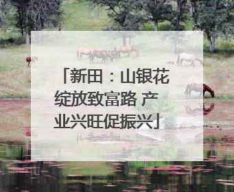 新田：山银花绽放致富路 产业兴旺促振兴