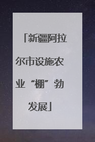 新疆阿拉尔市设施农业“棚”勃发展