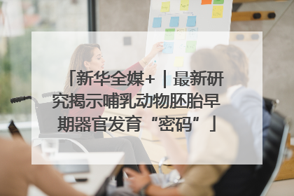 新华全媒+｜最新研究揭示哺乳动物胚胎早期器官发育“密码”