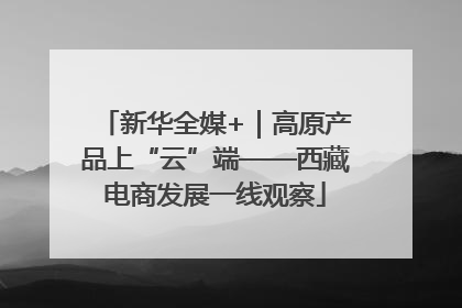 新华全媒+｜高原产品上“云”端——西藏电商发展一线观察