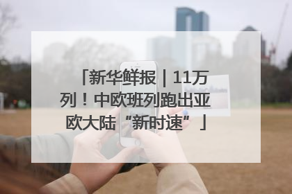 新华鲜报｜11万列！中欧班列跑出亚欧大陆“新时速”