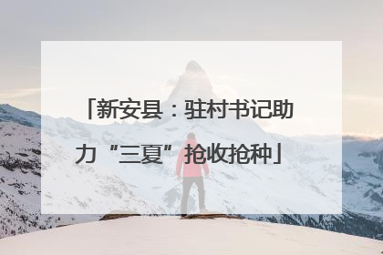 新安县：驻村书记助力“三夏”抢收抢种