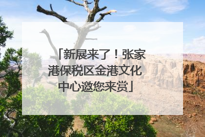 新展来了！张家港保税区金港文化中心邀您来赏