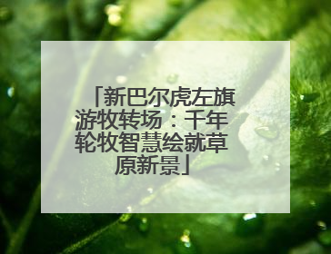 新巴尔虎左旗游牧转场：千年轮牧智慧绘就草原新景