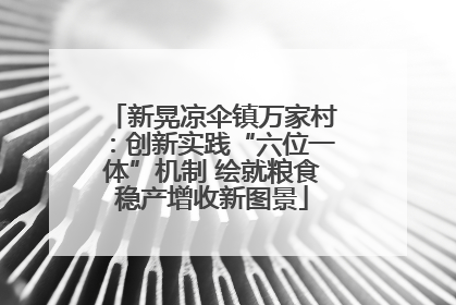 新晃凉伞镇万家村：创新实践“六位一体”机制 绘就粮食稳产增收新图景