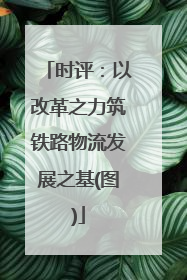 时评：以改革之力筑铁路物流发展之基(图)