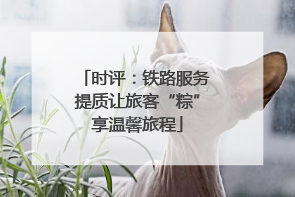 时评：铁路服务提质让旅客“粽”享温馨旅程