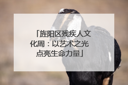 旌阳区残疾人文化周：以艺术之光点亮生命力量