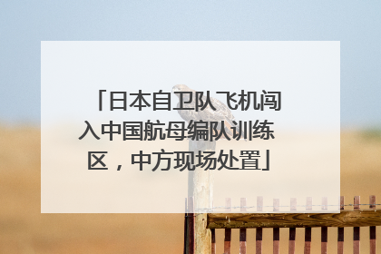 日本自卫队飞机闯入中国航母编队训练区，中方现场处置