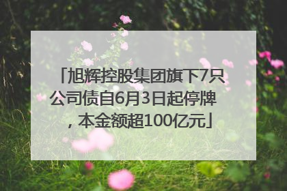 旭辉控股集团旗下7只公司债自6月3日起停牌，本金额超100亿元