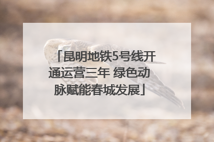 昆明地铁5号线开通运营三年 绿色动脉赋能春城发展