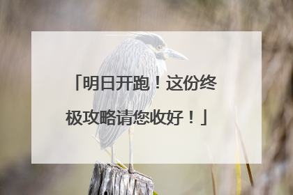明日开跑！这份终极攻略请您收好！